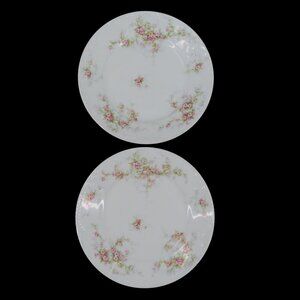 Theodore Haviland Limoges Set of 2 Plates 8.5in Rose Flower Floral Swag VTG